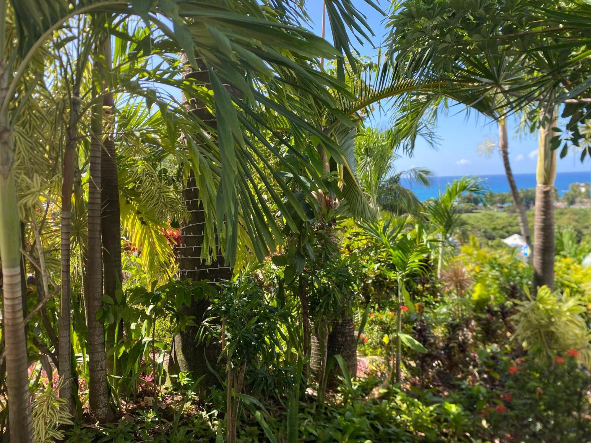 Residence Caraibes Bonheur Aparthotel