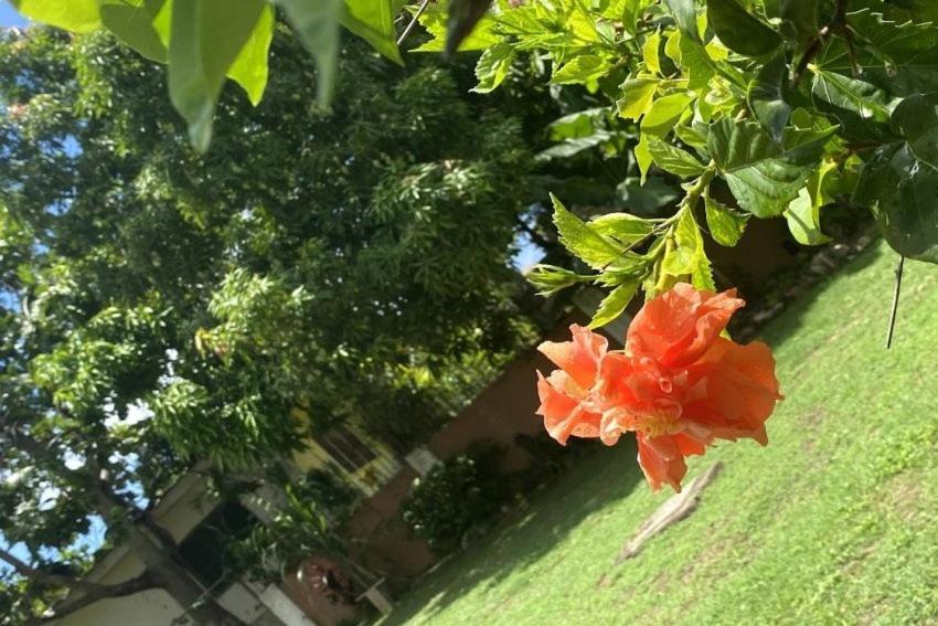 Yanceylargoestate- 3 Bedroom Withmountain Views Pousada Montego Bay