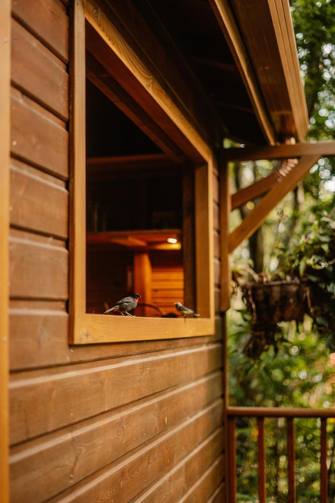 Au Jardin Des Colibris Ecolodge&spa Holiday park Deshaies