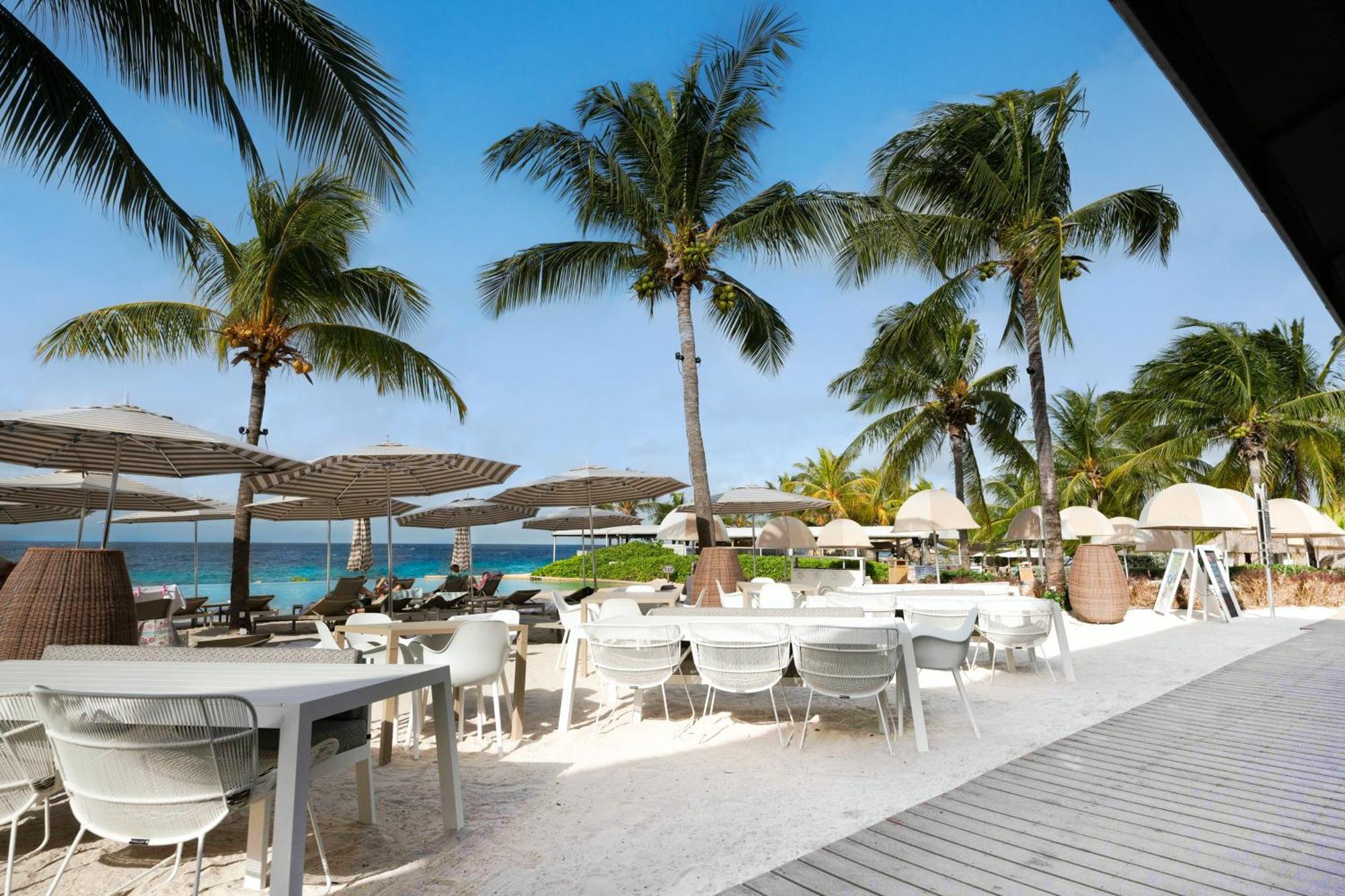 Papagayo (adults Only)