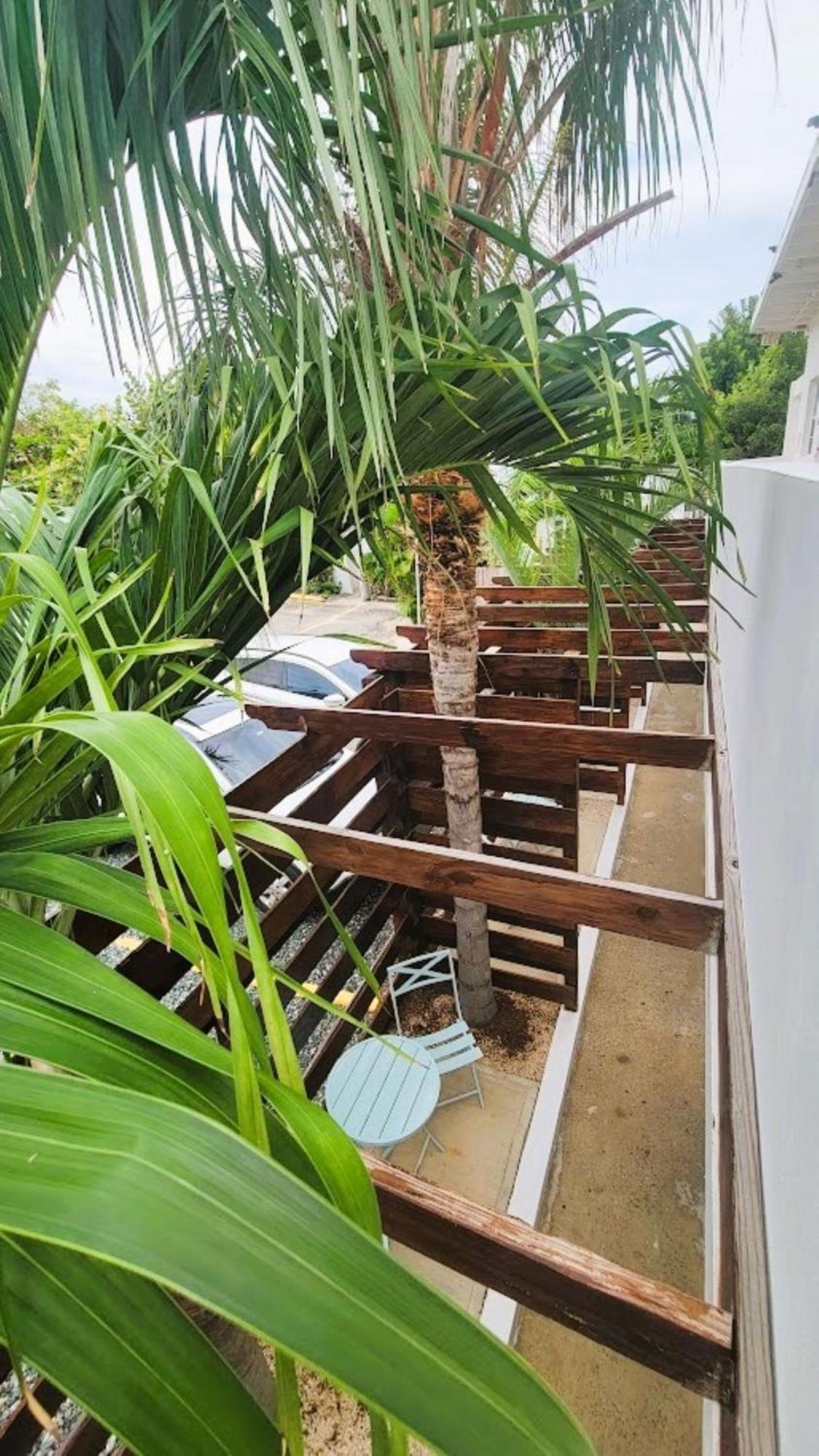 Inn La Jamaca - Island Vibe 3*