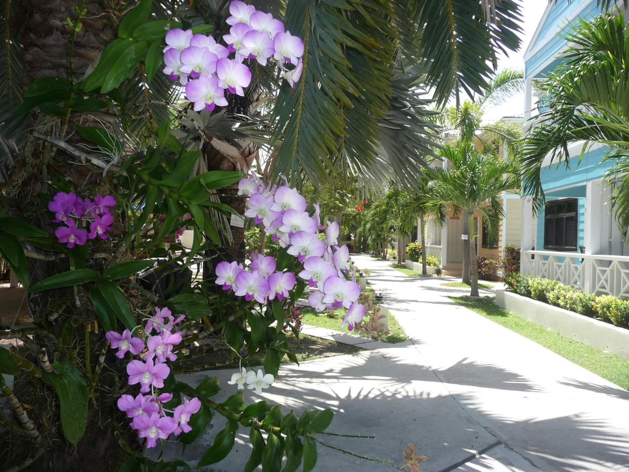 Buccaneer Club 3* Dickenson Bay