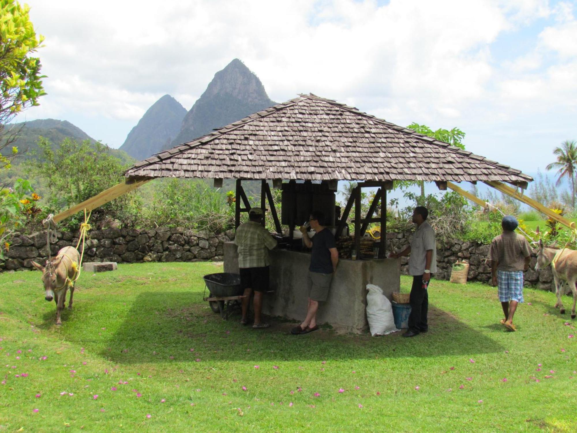 La Haut 3* Soufriere