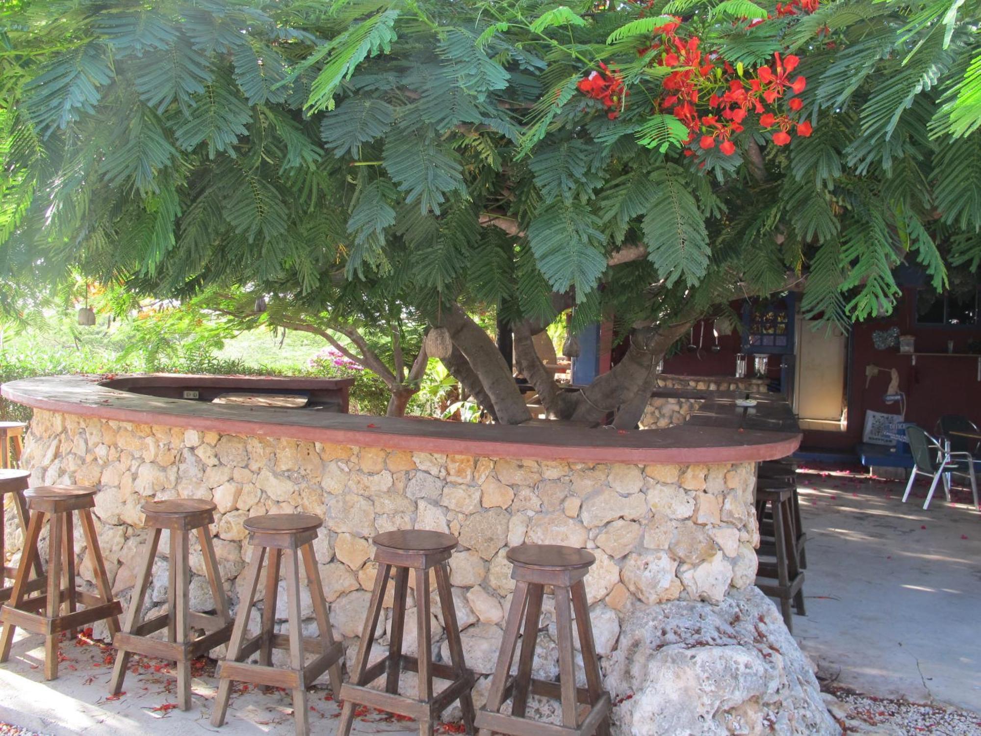 Caribbean Chillout Aparthotel
