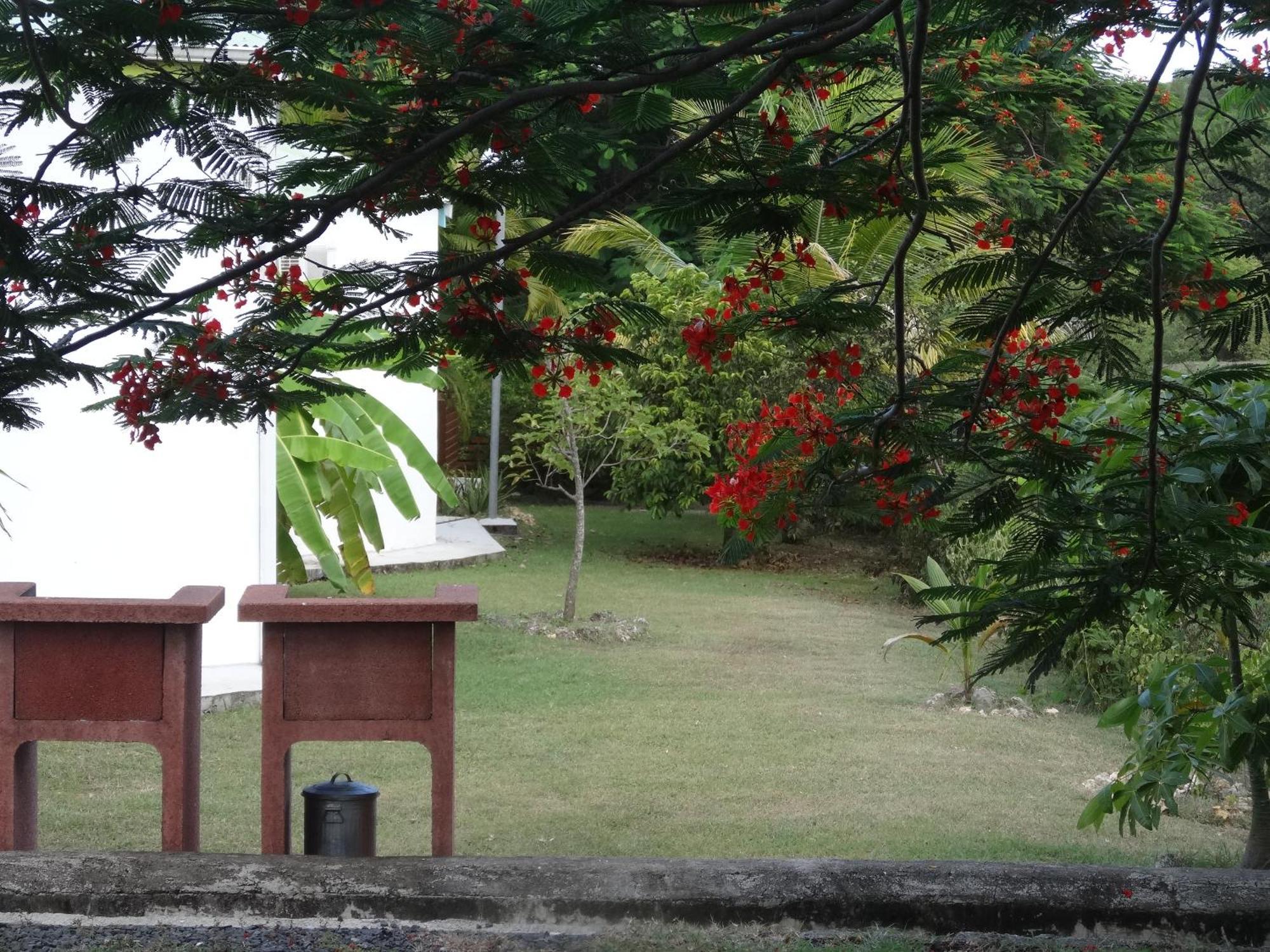 Zandoli Koko Guest house