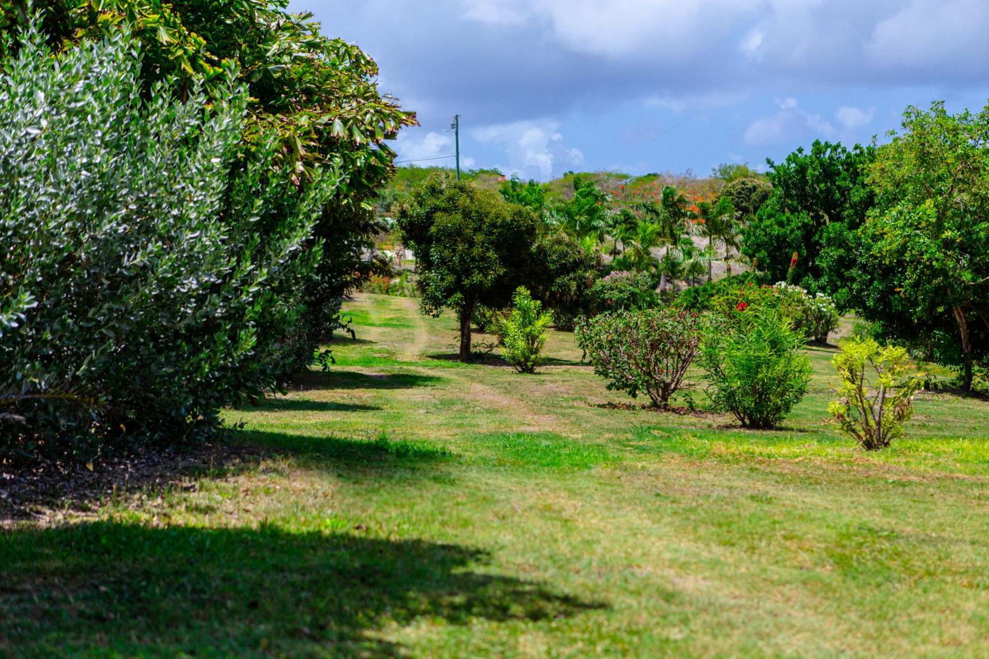Escape At Nonsuch Bay Antigua (adults Only) 4*