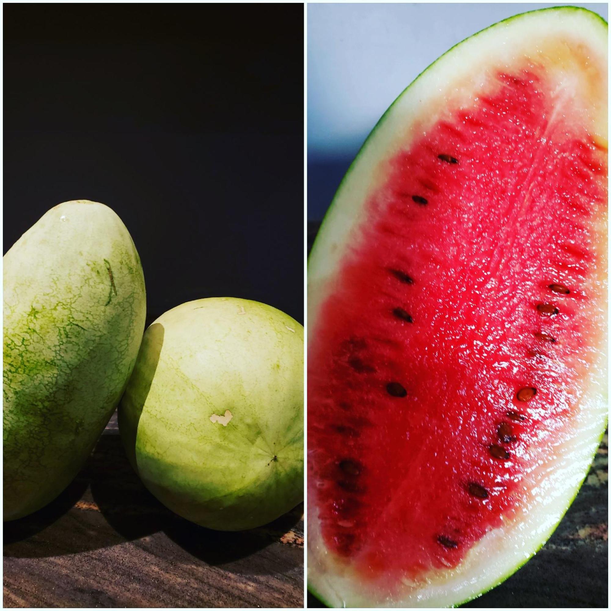 Acomodação com café da manhã  Blue Paloma
