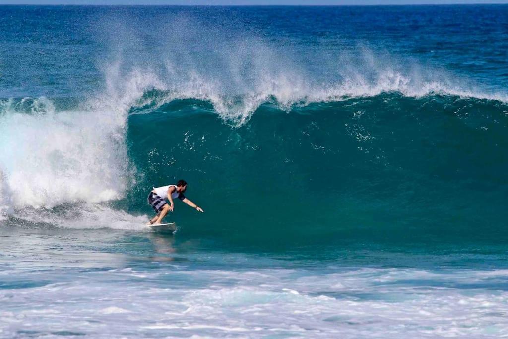 North Shore * Le Moule