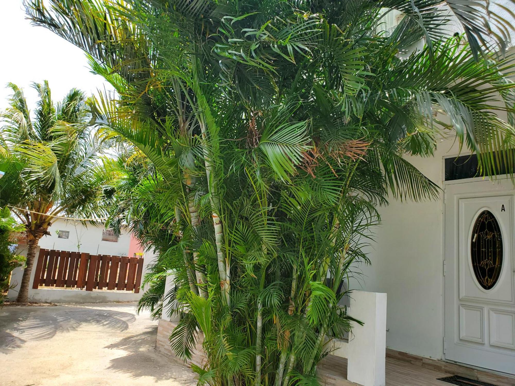 Apartment Grand Sun Valley Residences Willemstad