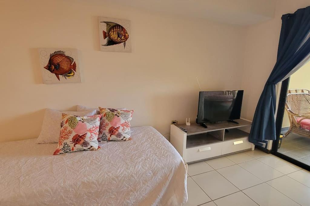 Apartment Portobello Palmanova, Palmas Del Mar, Humacao, Pr *