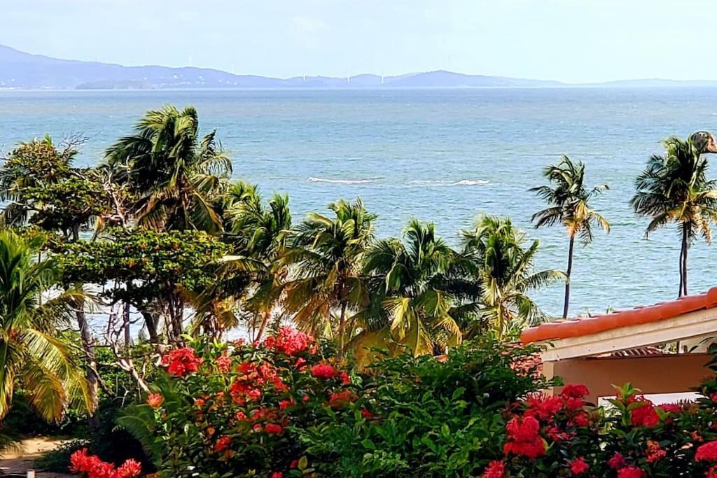 Portobello Palmanova, Palmas Del Mar, Humacao, Pr Humacao