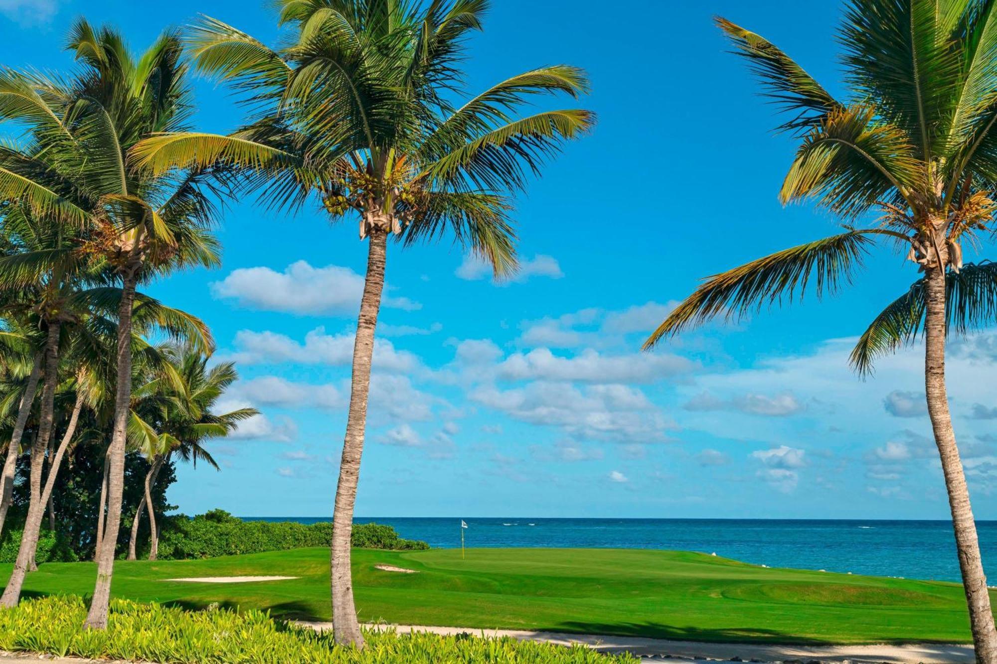 Resort The Westin Puntacana 5*