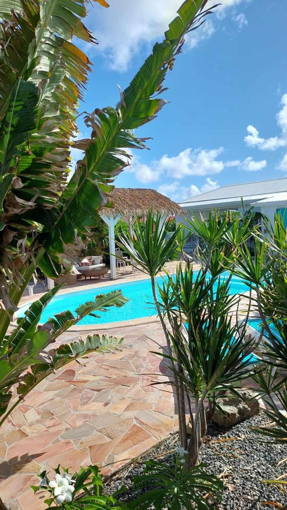 Guest house Tiko Sxm