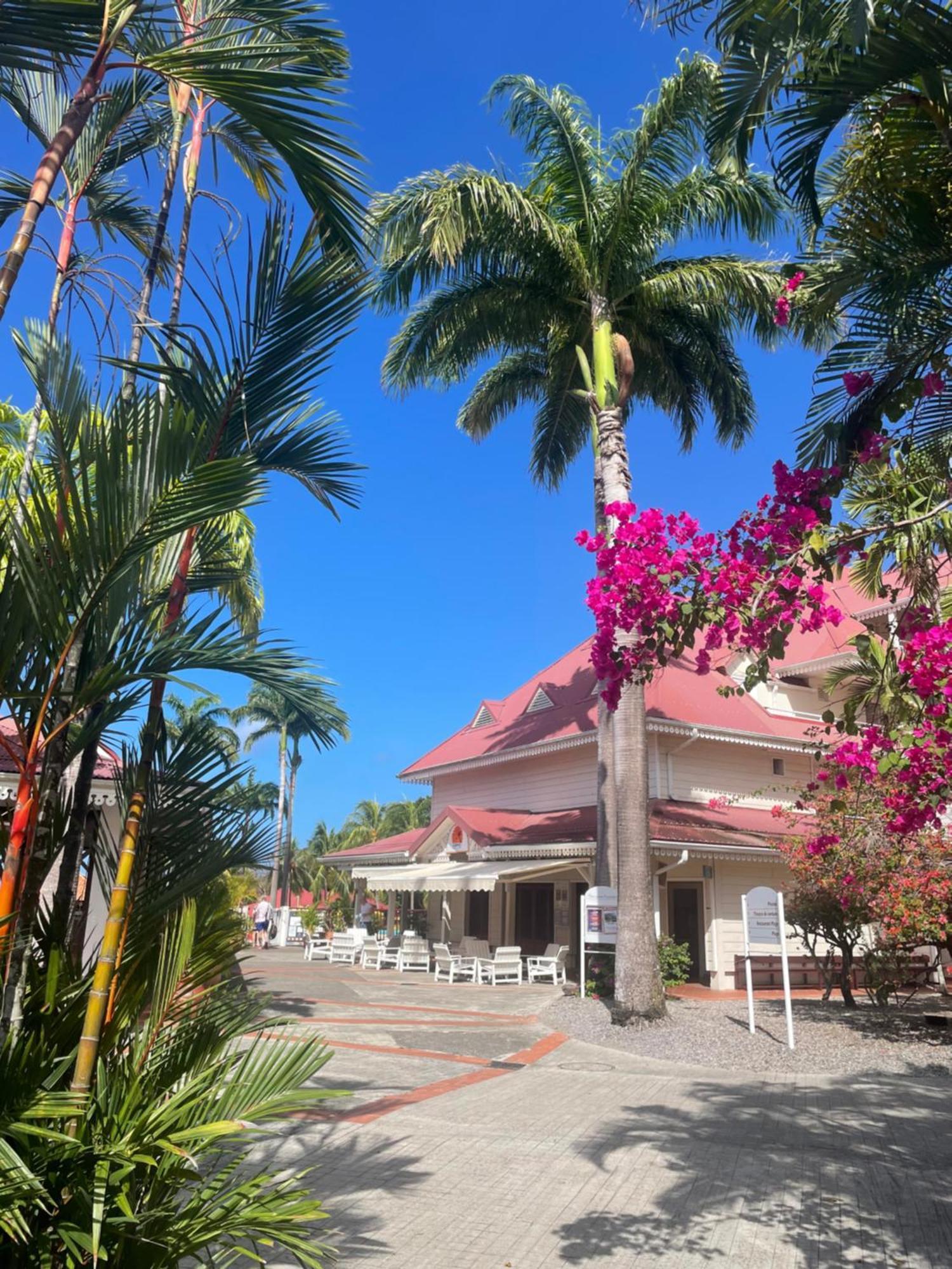 Couleur Caraibes-cocobeach Martinique Pierre Et