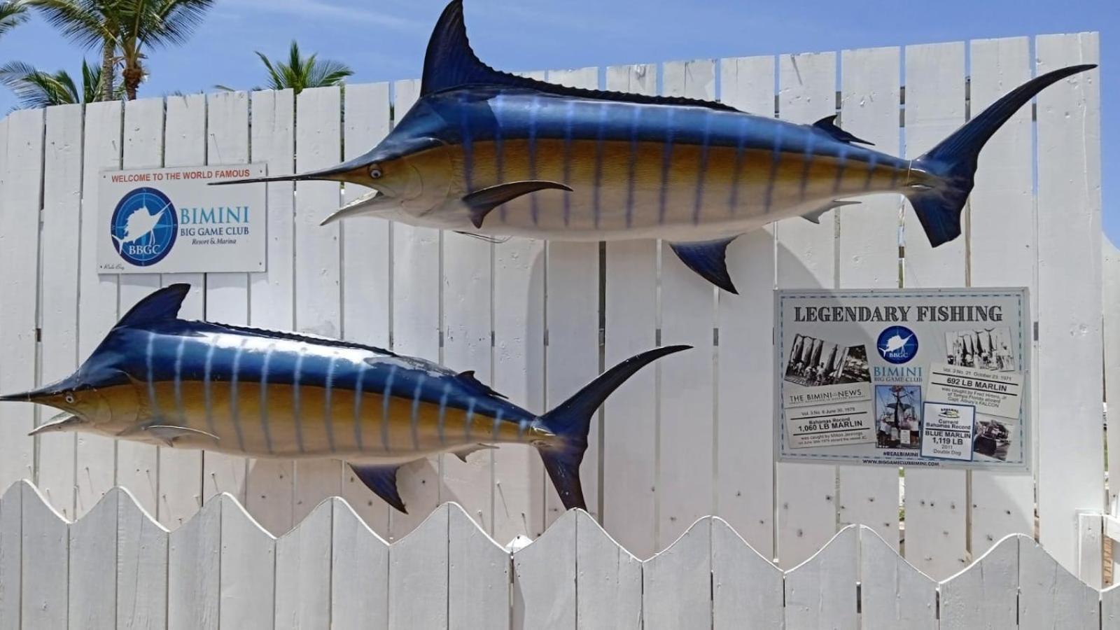 Bimini Big Game Club & Marina Resort