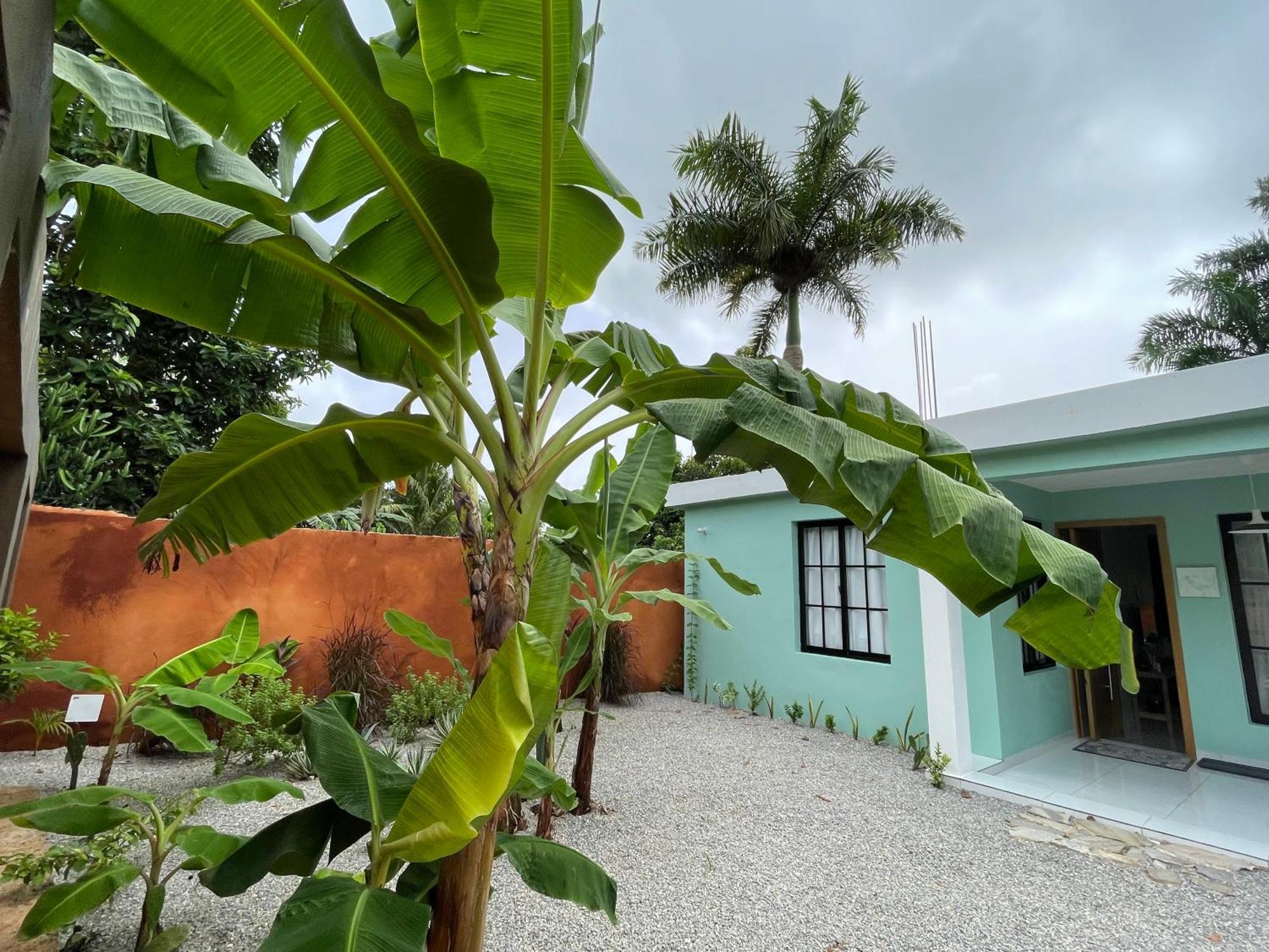 Casa Monte Verde *