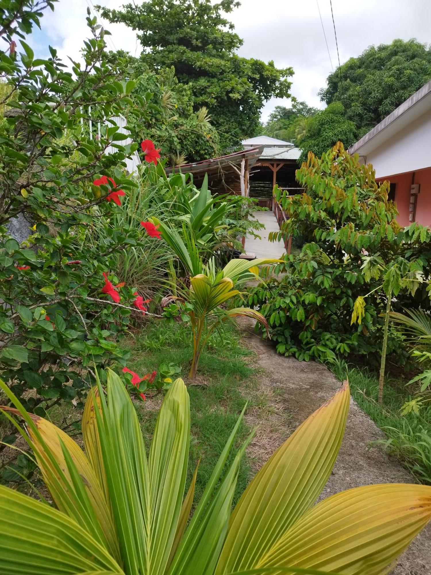 Tikazalou Eco Hostel *