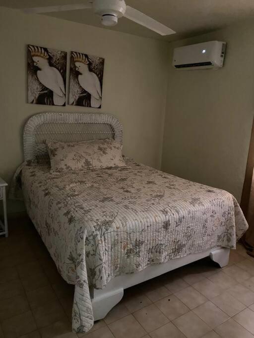 Apartamento Frente A La Playa En Costambar * Puerto Plata