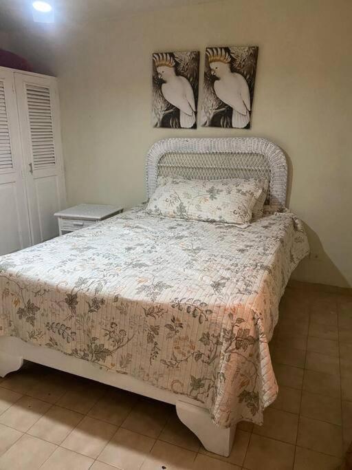 Apartamento Frente A La Playa En Costambar Apartment Puerto Plata