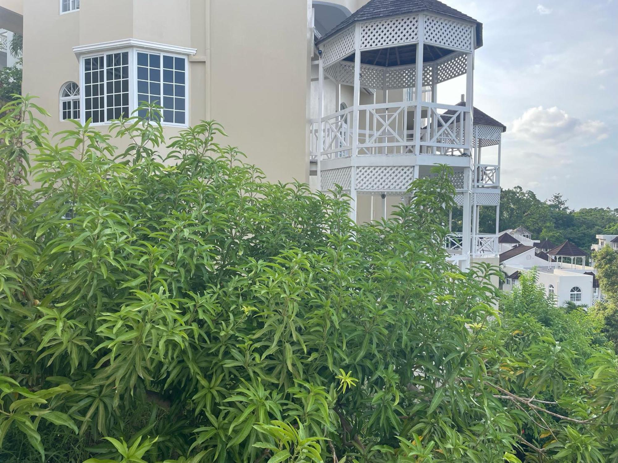 Apartment Oceanbreeze Jamaica Penthouse, 7-minute Walk To *