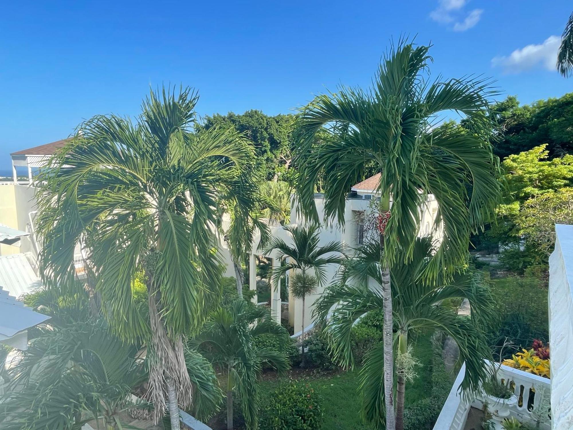 Apartment Oceanbreeze Jamaica Penthouse, 7-minute Walk To *