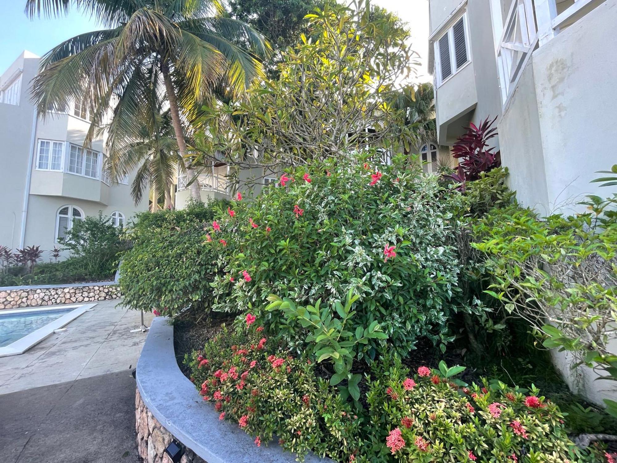 Apartment Oceanbreeze Jamaica Penthouse, 7-minute Walk To Ocho Rios