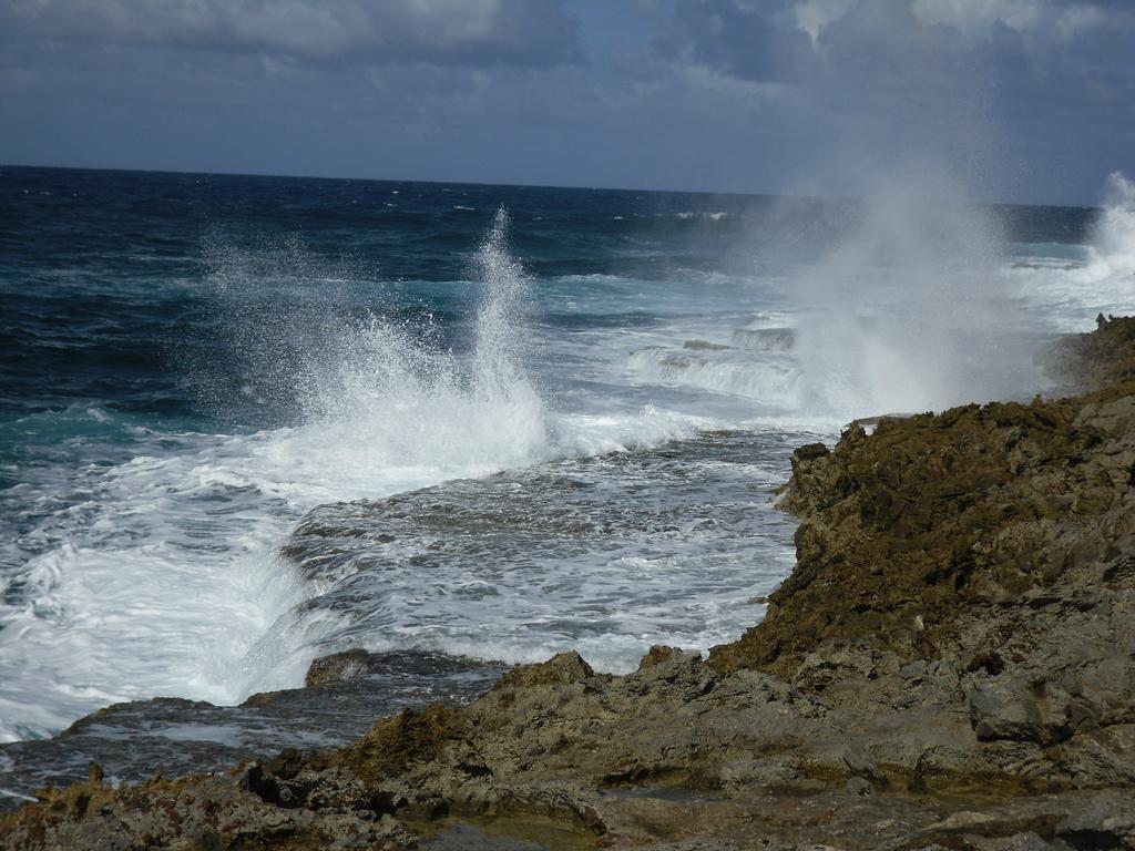 Oceanfront Townhome In Marazul Dive * Westpunt