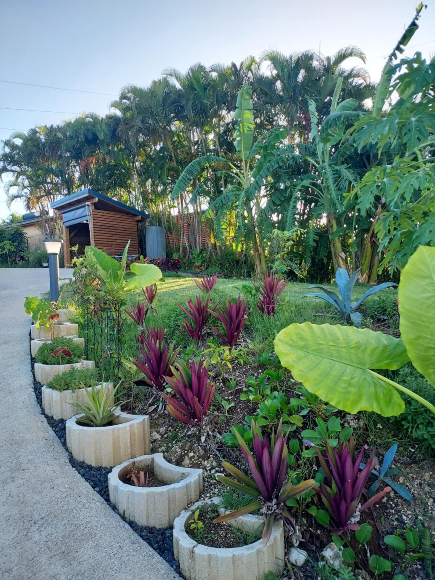 Le Petit Paradis Bed & Breakfast Sainte-Rose