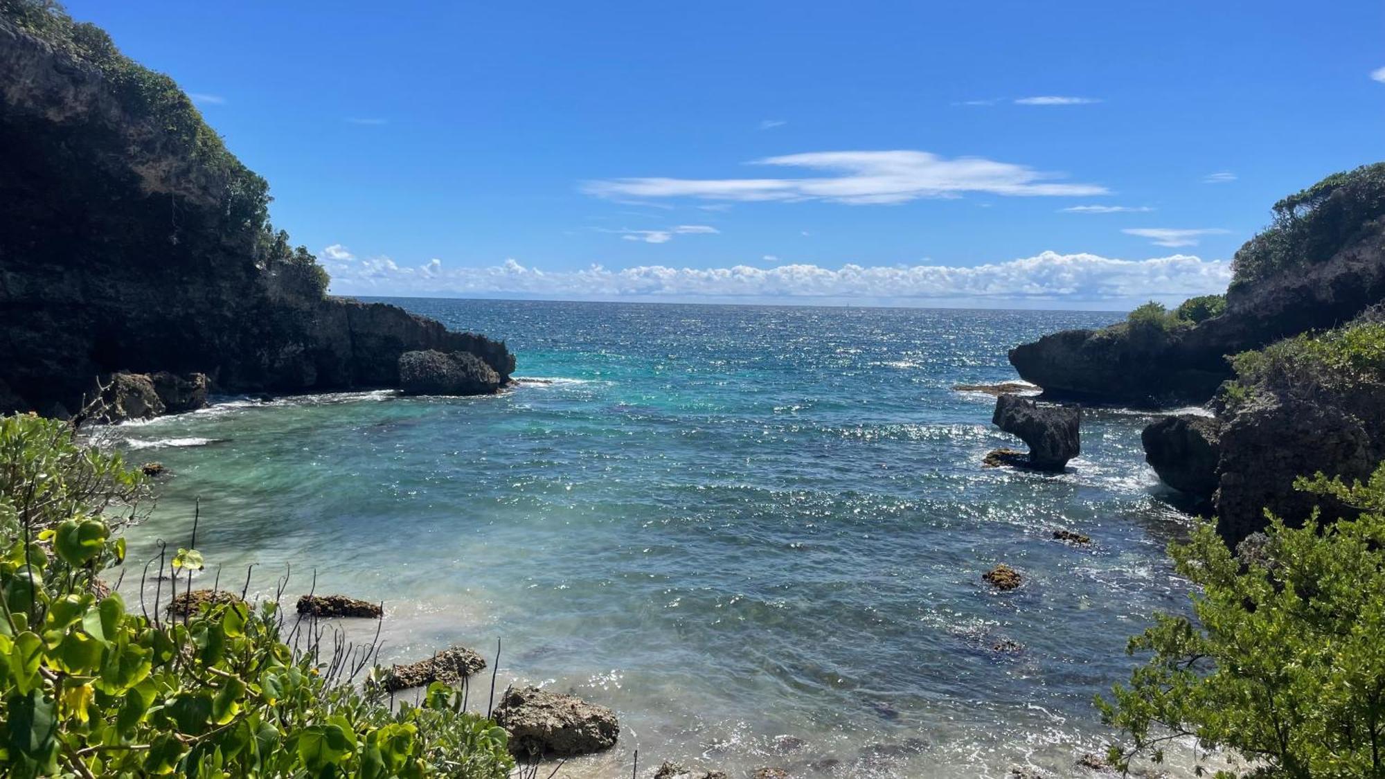 Cocody Sainte-Anne (Grande-Terre)