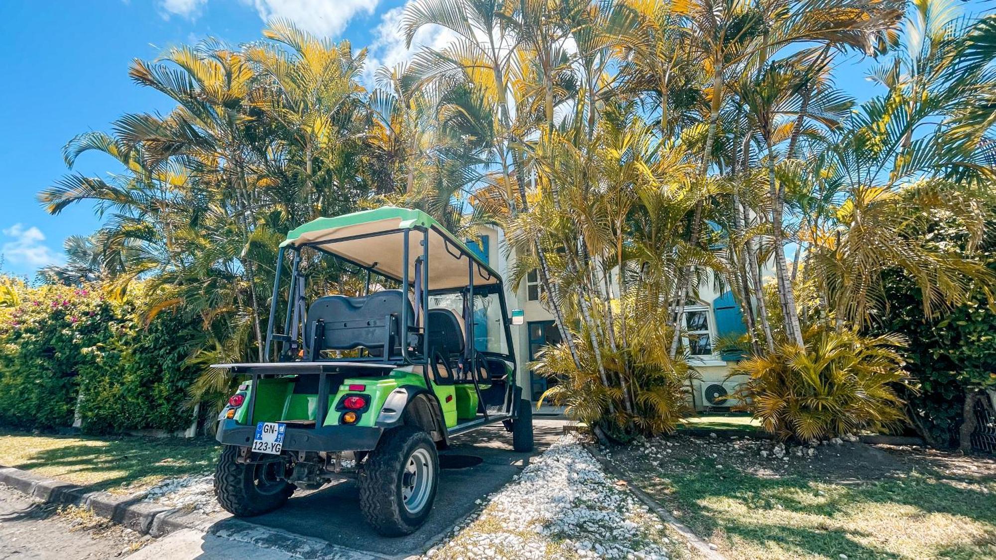 Pura Vida