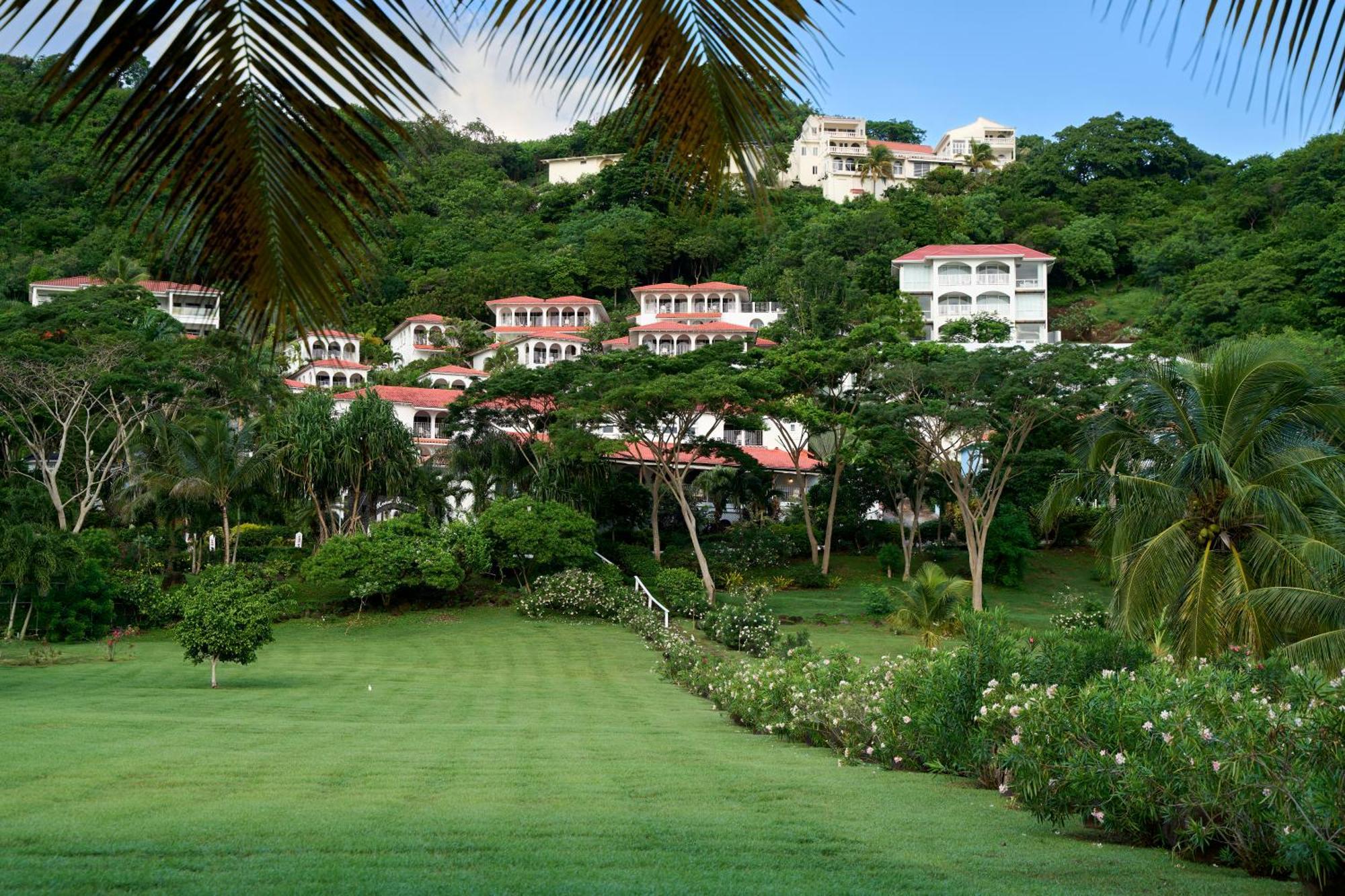Mount Cinnamon & Wellness