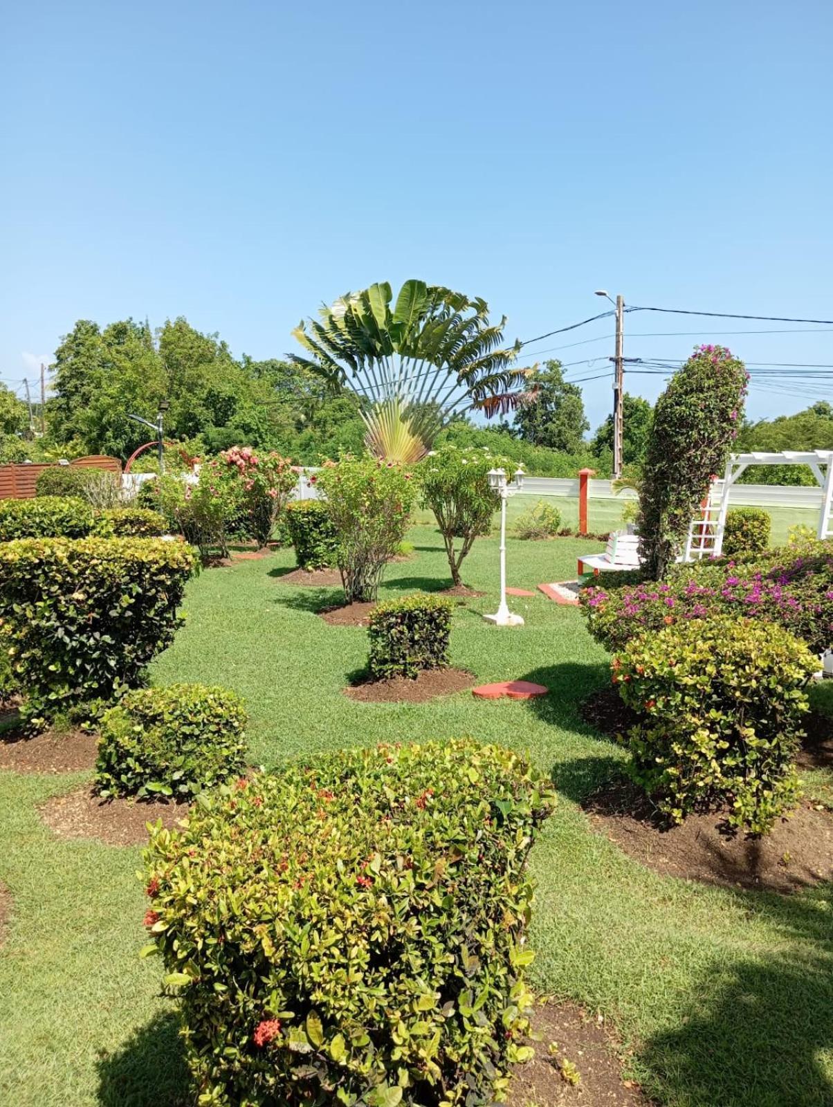 Ludivine * Sainte-Anne (Grande-Terre)