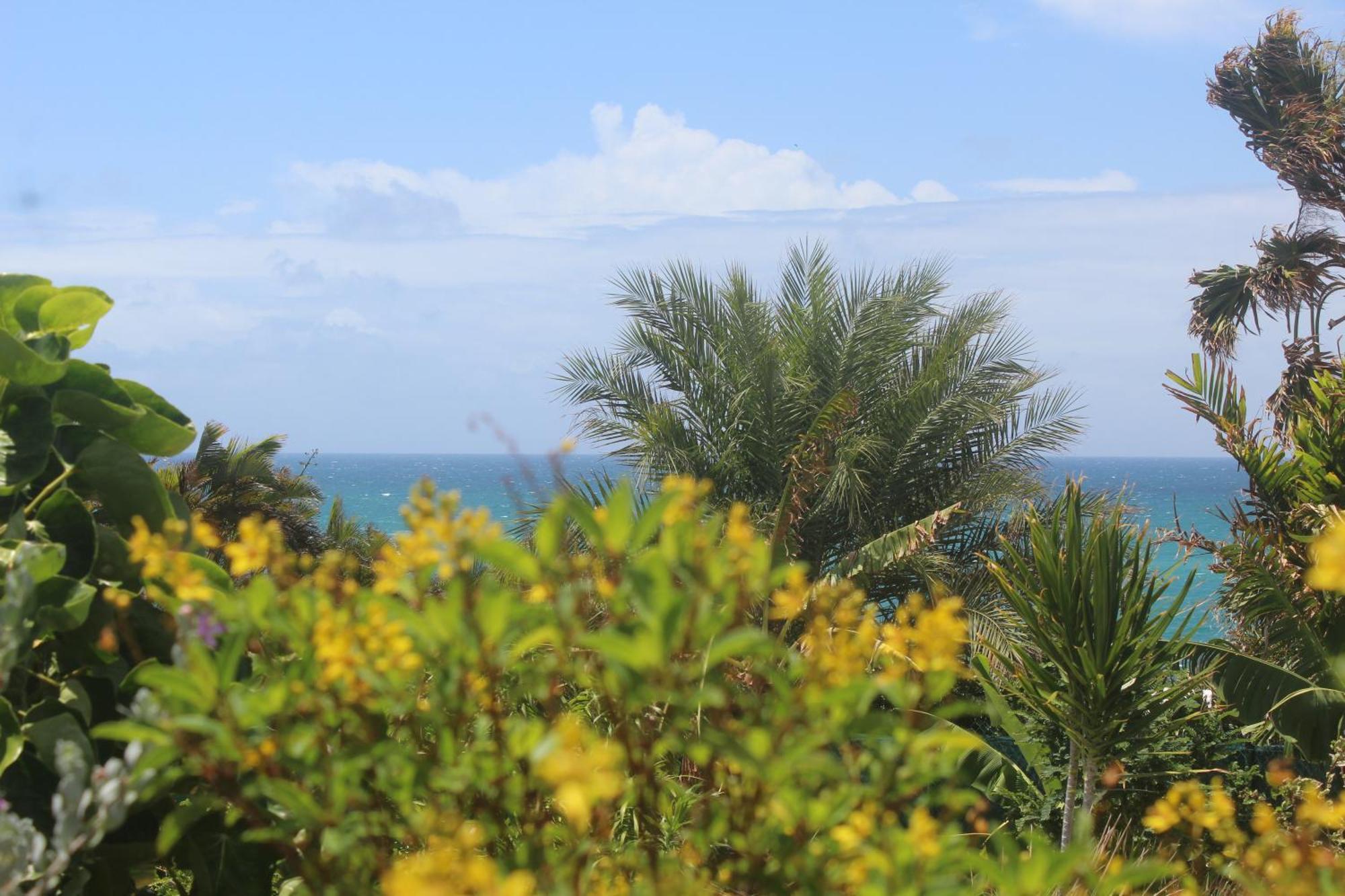 Iguane House & Micro Villa Sainte-Anne (Grande-Terre)