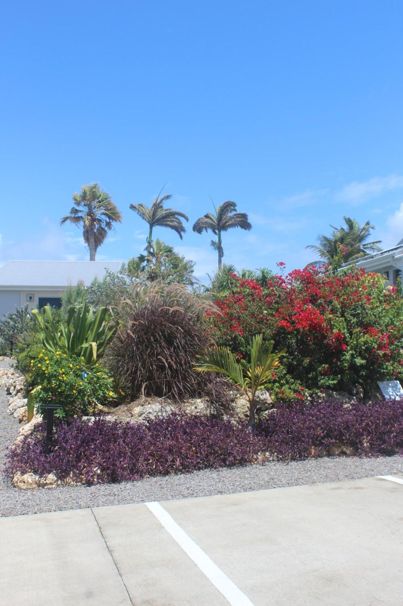 Villa Iguane House & Micro Sainte-Anne (Grande-Terre)