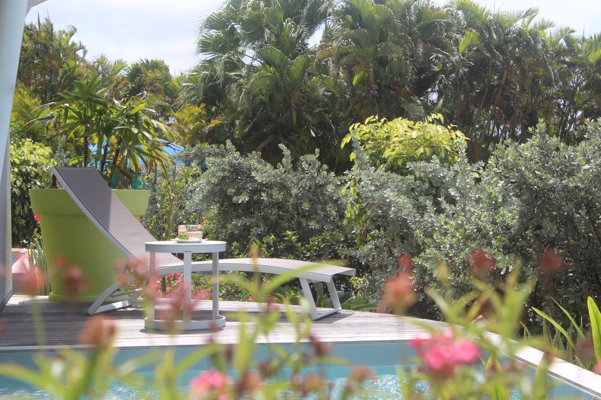 Iguane House & Micro
