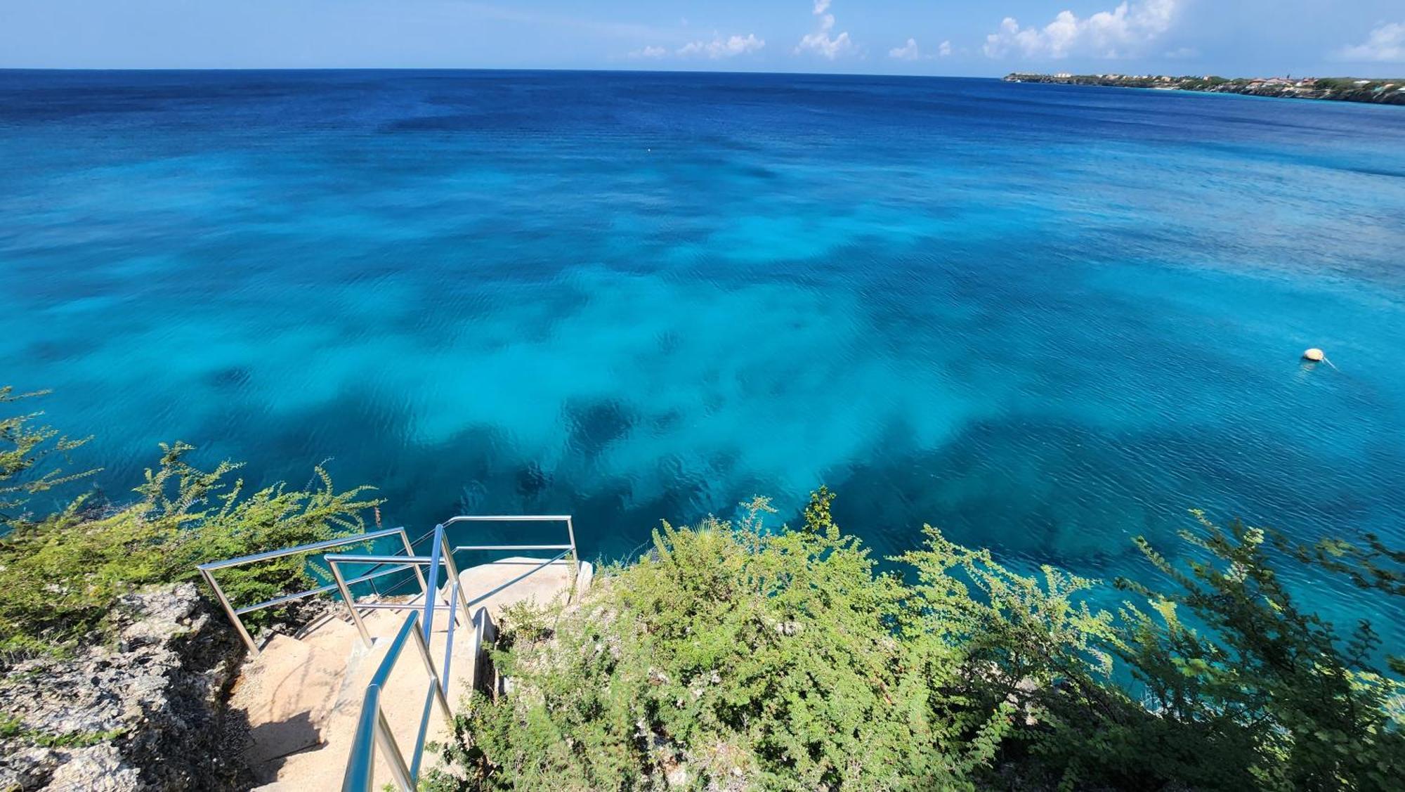 Ocean Teal Marazul *