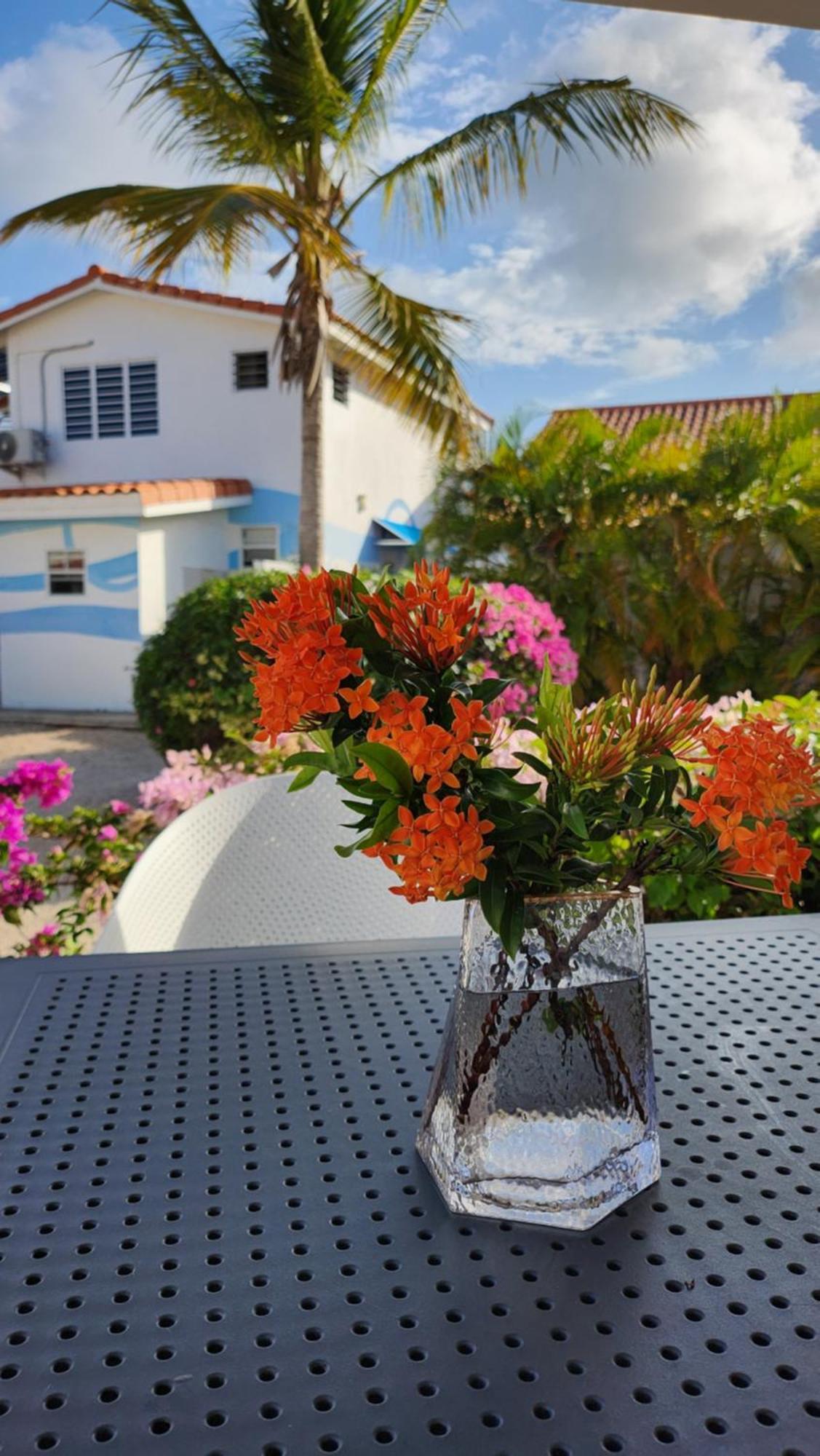 Ocean Teal Marazul Villa Westpunt