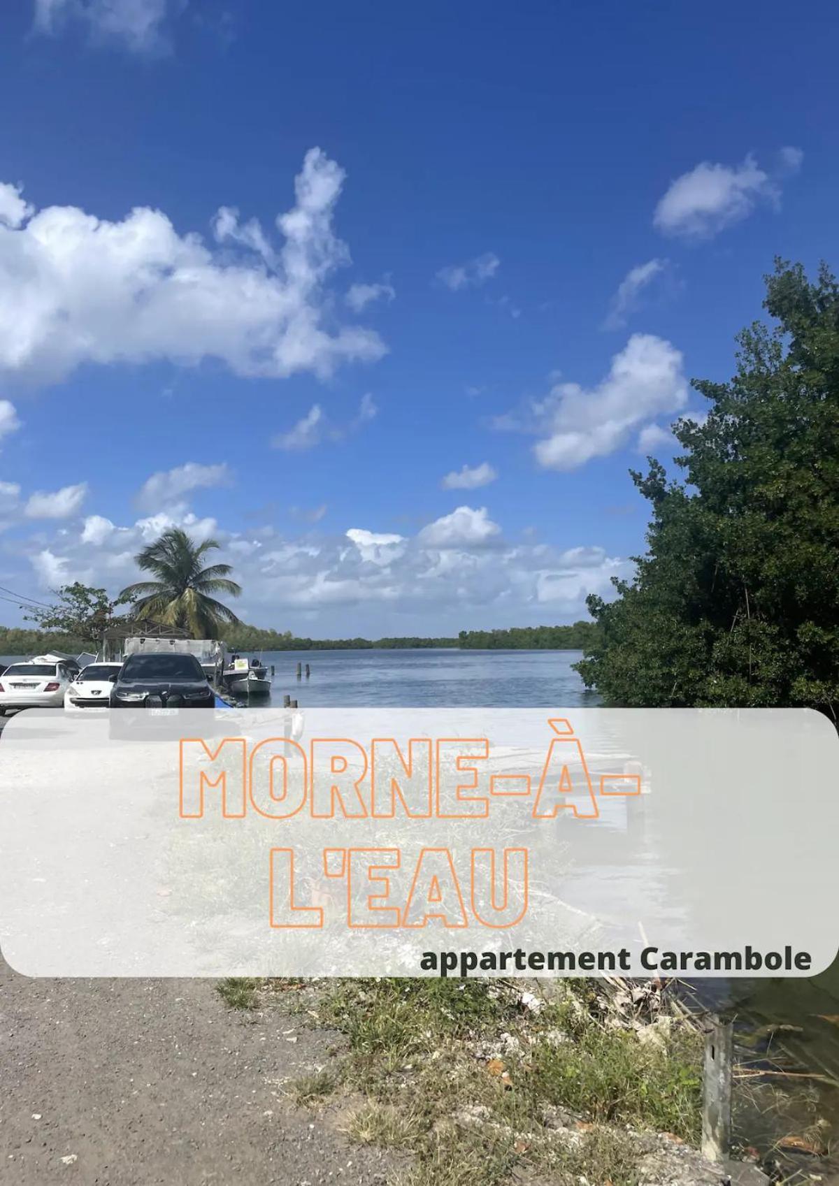 Apartment Carambole Garnier