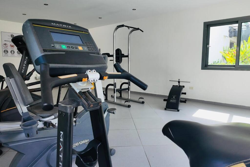 Aligio Beachfront & Apartamento Las Terrenas