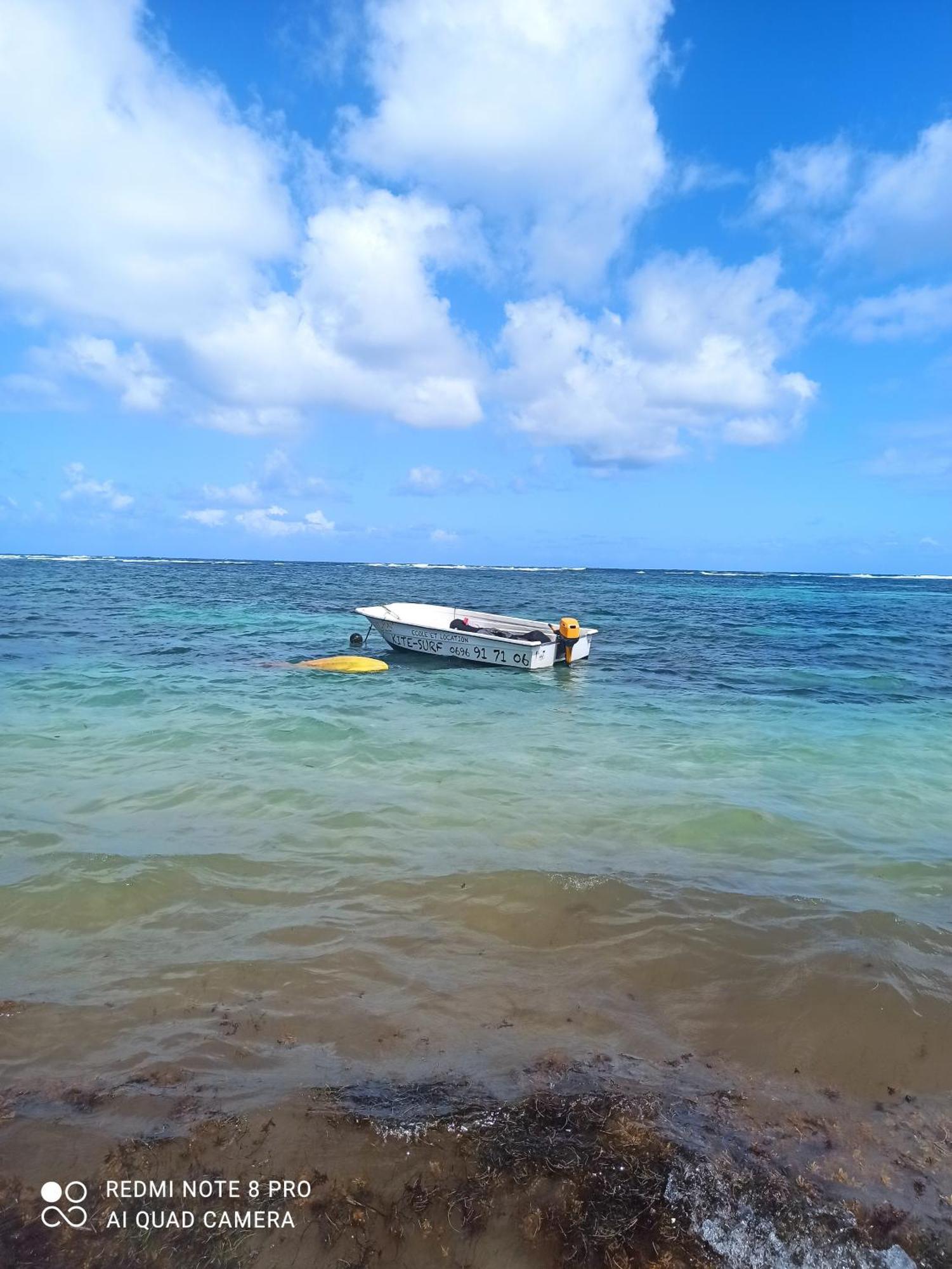 Bambou Vue A 50 M De La Et De La Piscine *