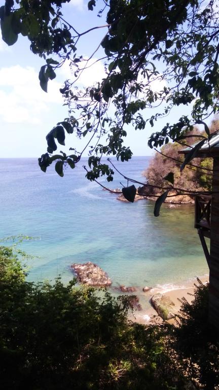 Guest house Blue Mango Cottages Castara