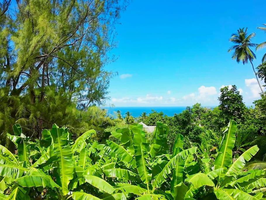 Holiday home Little Diamond, Wooden Jungle House. Bathsheba. *