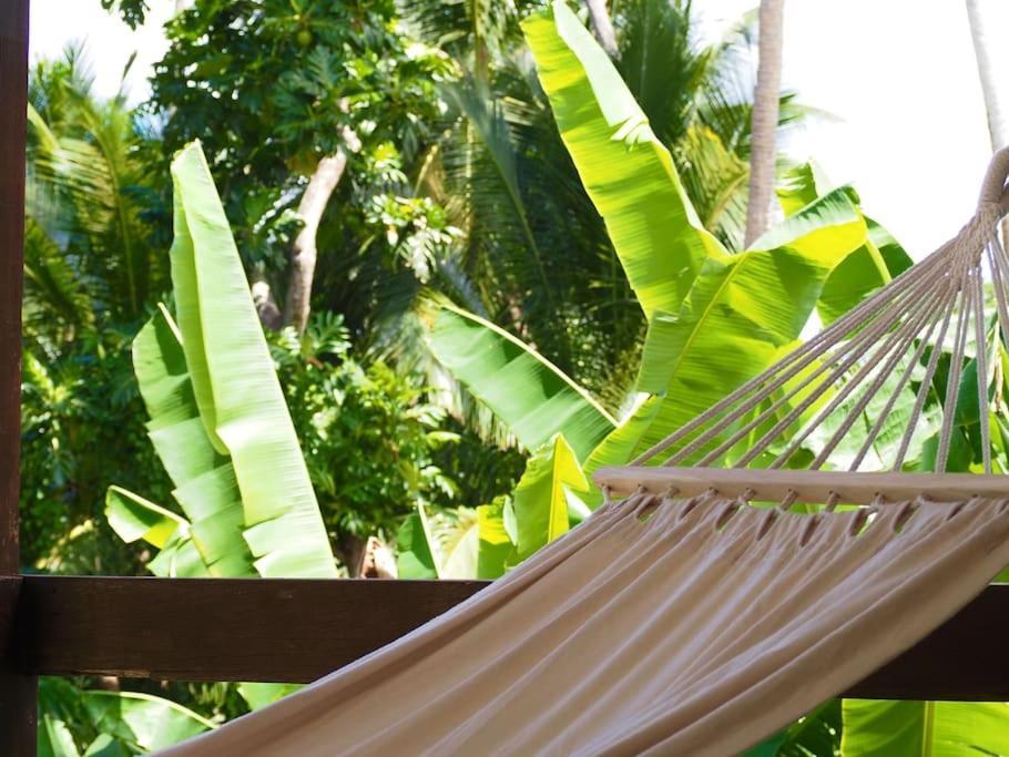 Holiday home Little Diamond, Wooden Jungle House. Bathsheba. Saint Joseph
