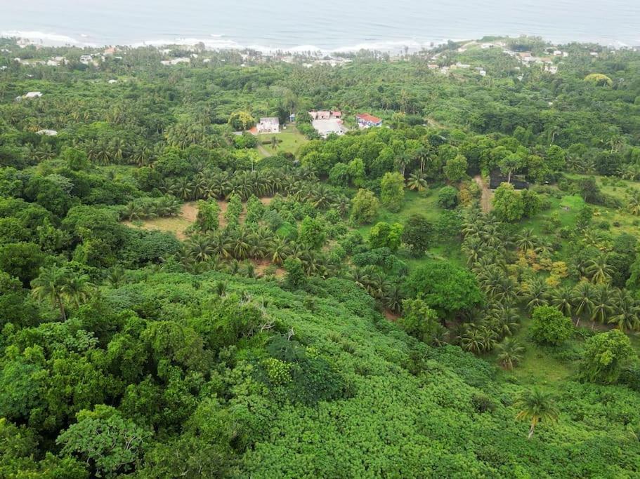 Little Diamond, Wooden Jungle House. Bathsheba. *