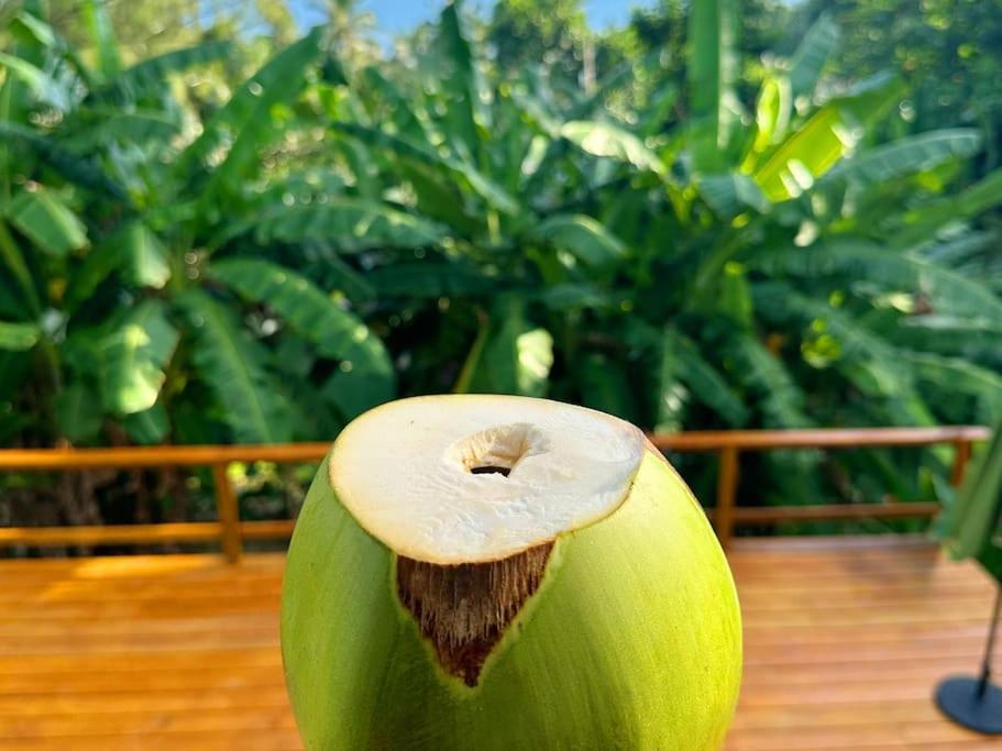 Little Diamond, Wooden Jungle House. Bathsheba. Holiday home Saint Joseph