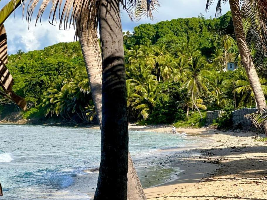 Holiday home Little Diamond, Wooden Jungle House. Bathsheba. Saint Joseph