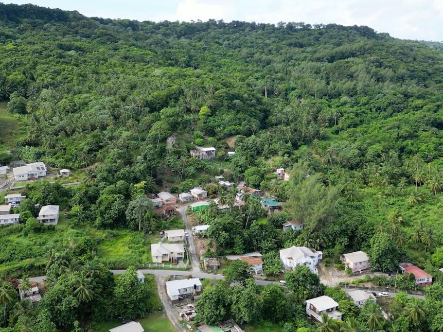 Holiday home Little Diamond, Wooden Jungle House. Bathsheba. *