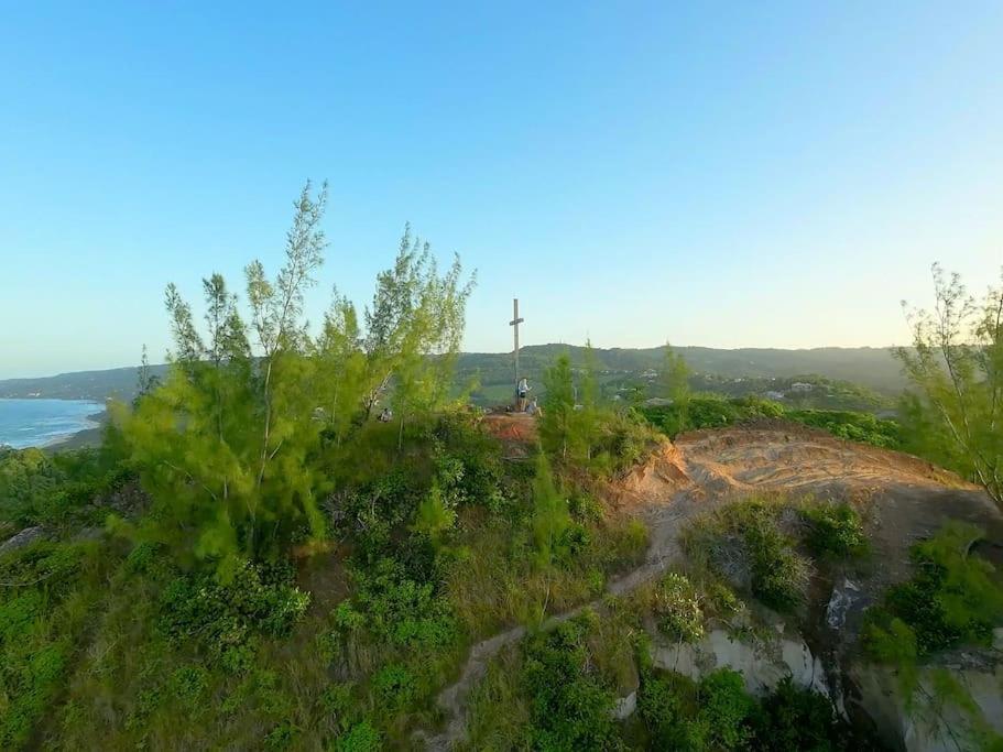 Little Diamond, Wooden Jungle House. Bathsheba. Holiday home Saint Joseph