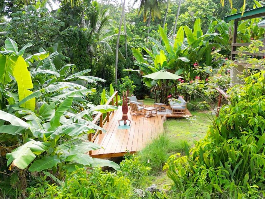 Little Diamond, Wooden Jungle House. Bathsheba. Saint Joseph