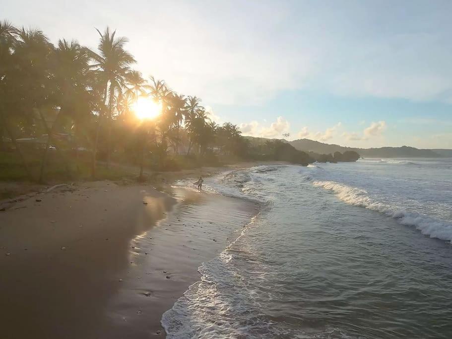 Little Diamond, Wooden Jungle House. Bathsheba. Holiday home Saint Joseph